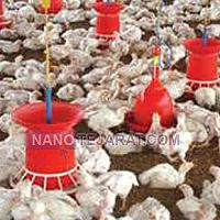 Poultry equipment